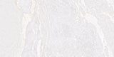 598*1198 Porc Rect Planet White Metal Soft (2,1.43)
