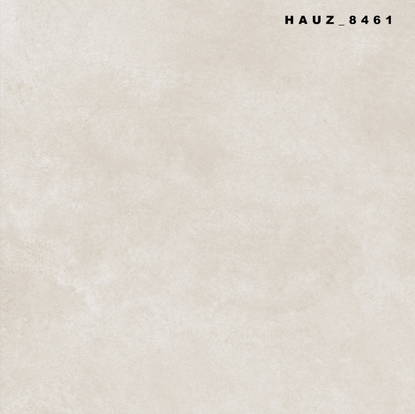 Tile Hauz-8461 60x60