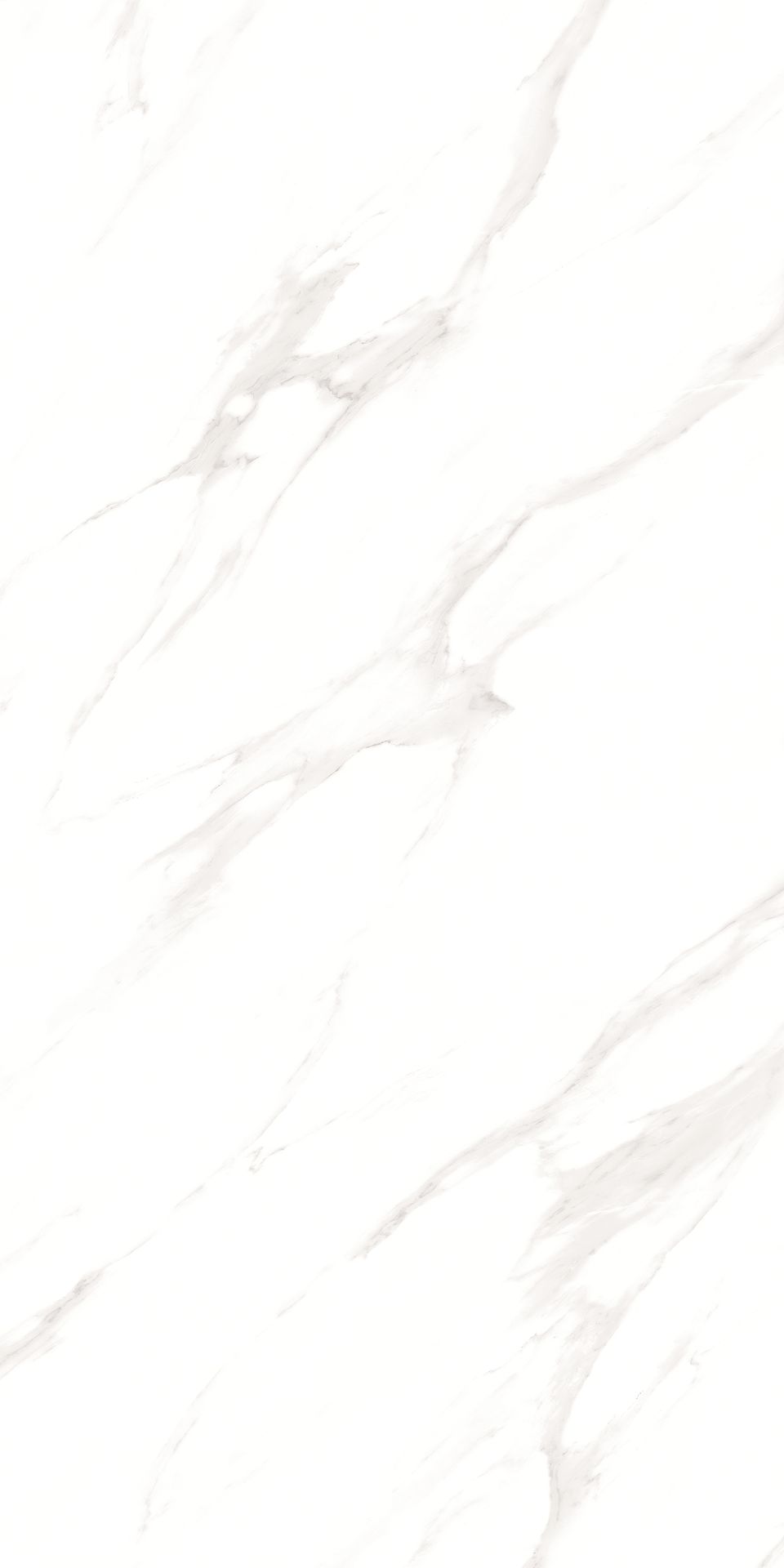 1200*600 - Pro Arturio Grado (Glossy)(2,1.44)