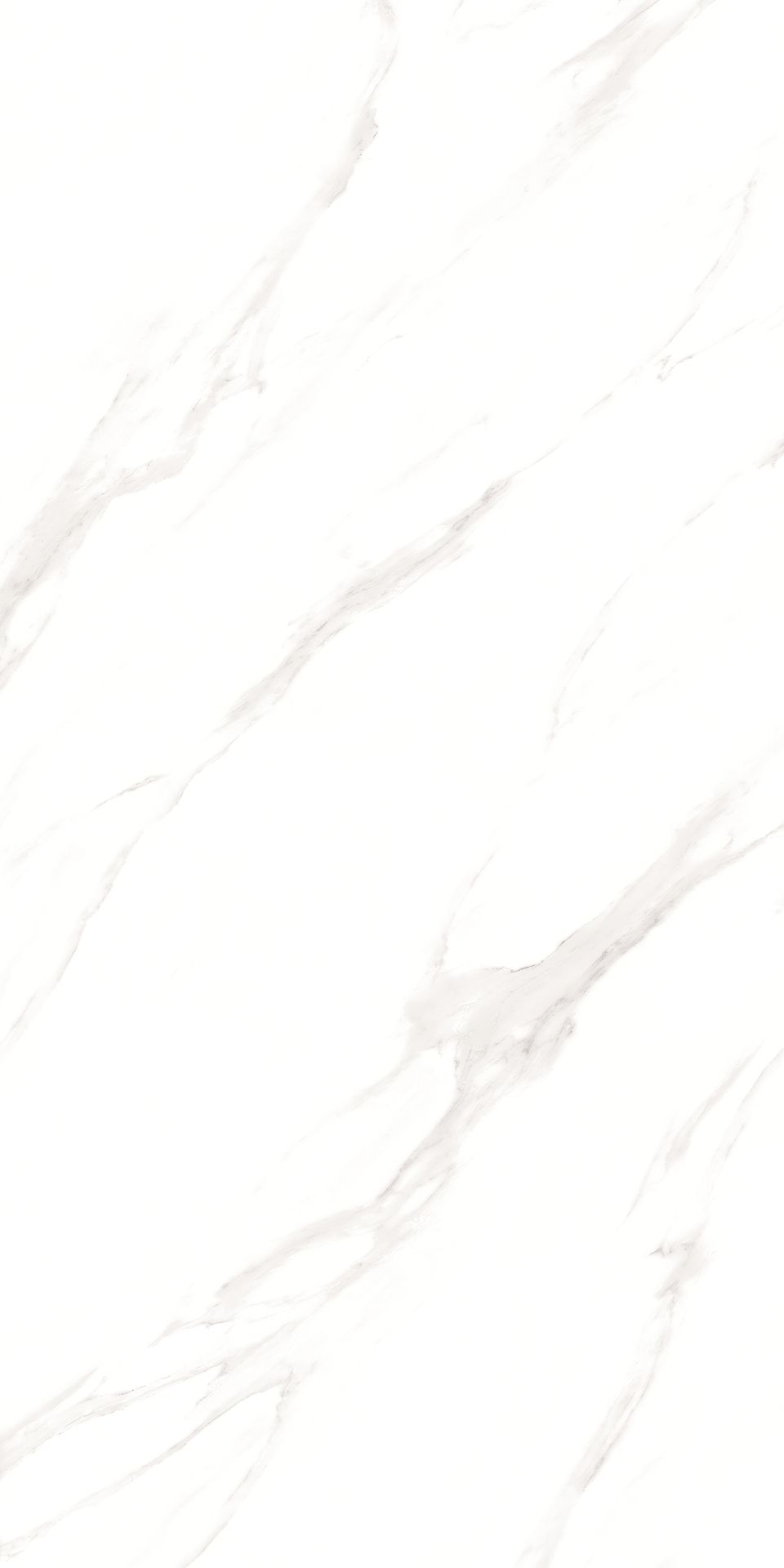 1200*600 - Pro Arturio Grado (Glossy)(2,1.44)