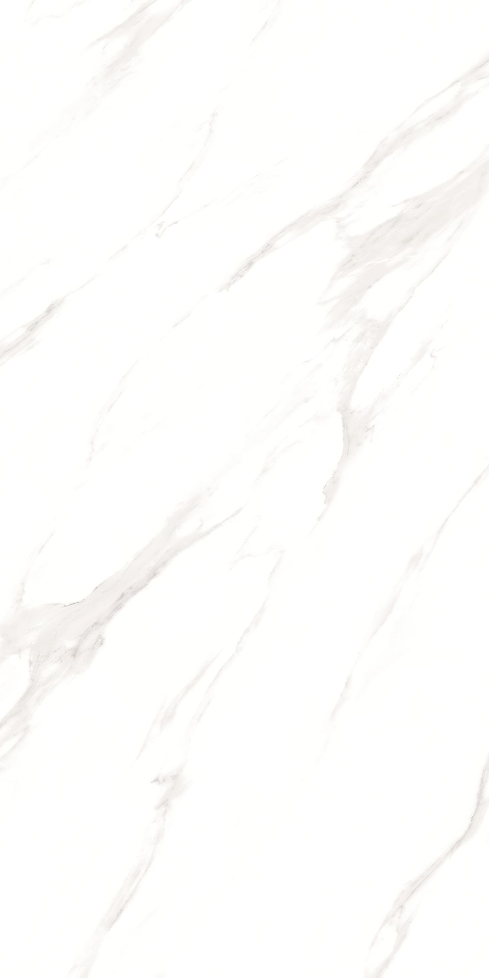 1200*600 - Pro Arturio Grado (Glossy)(2,1.44)