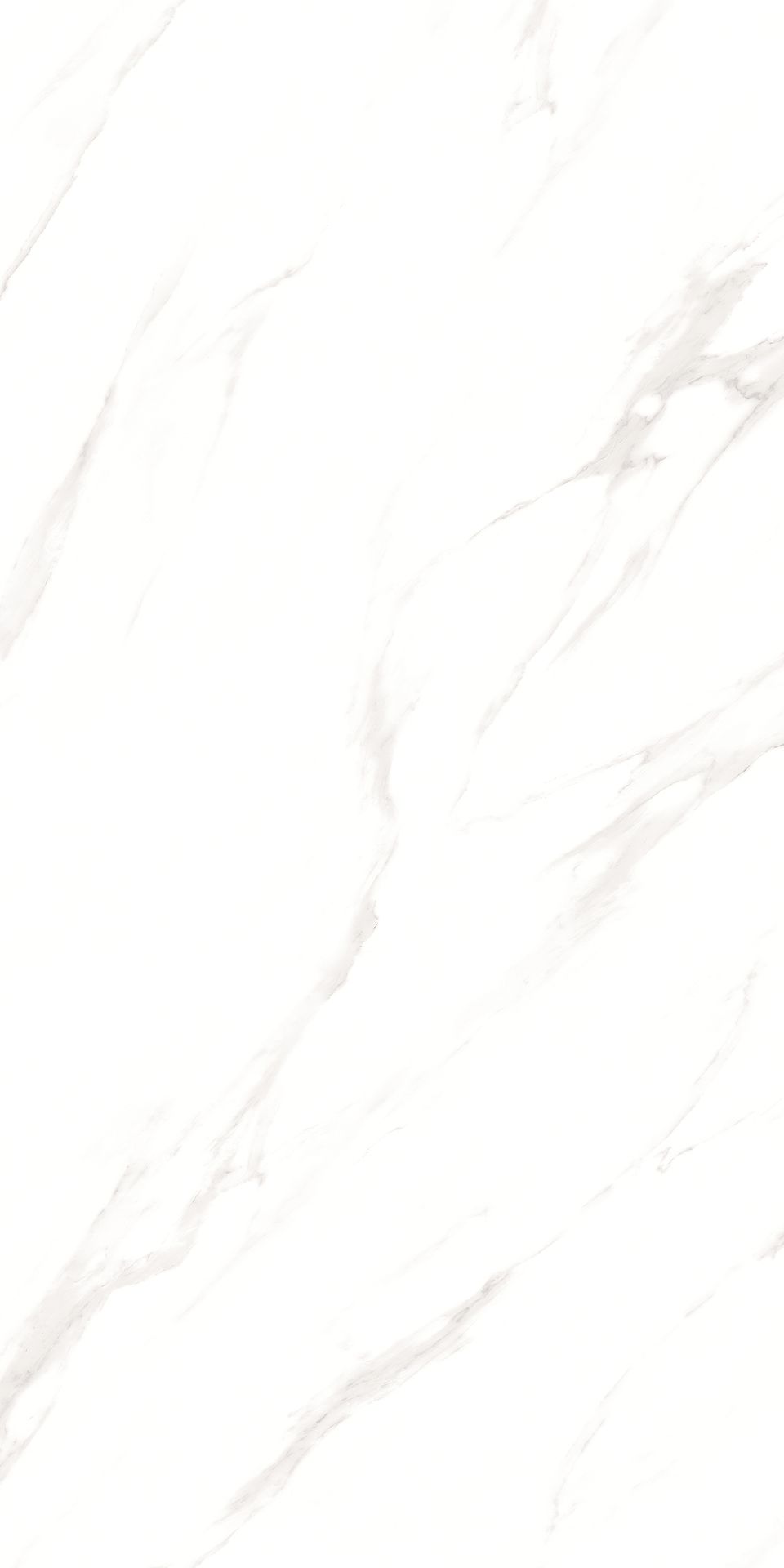 1200*600 - Pro Arturio Grado (Glossy)(2,1.44)