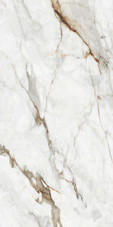 1200*600 - Pro  Dynamic Beige (Glossy)(2,1.44)