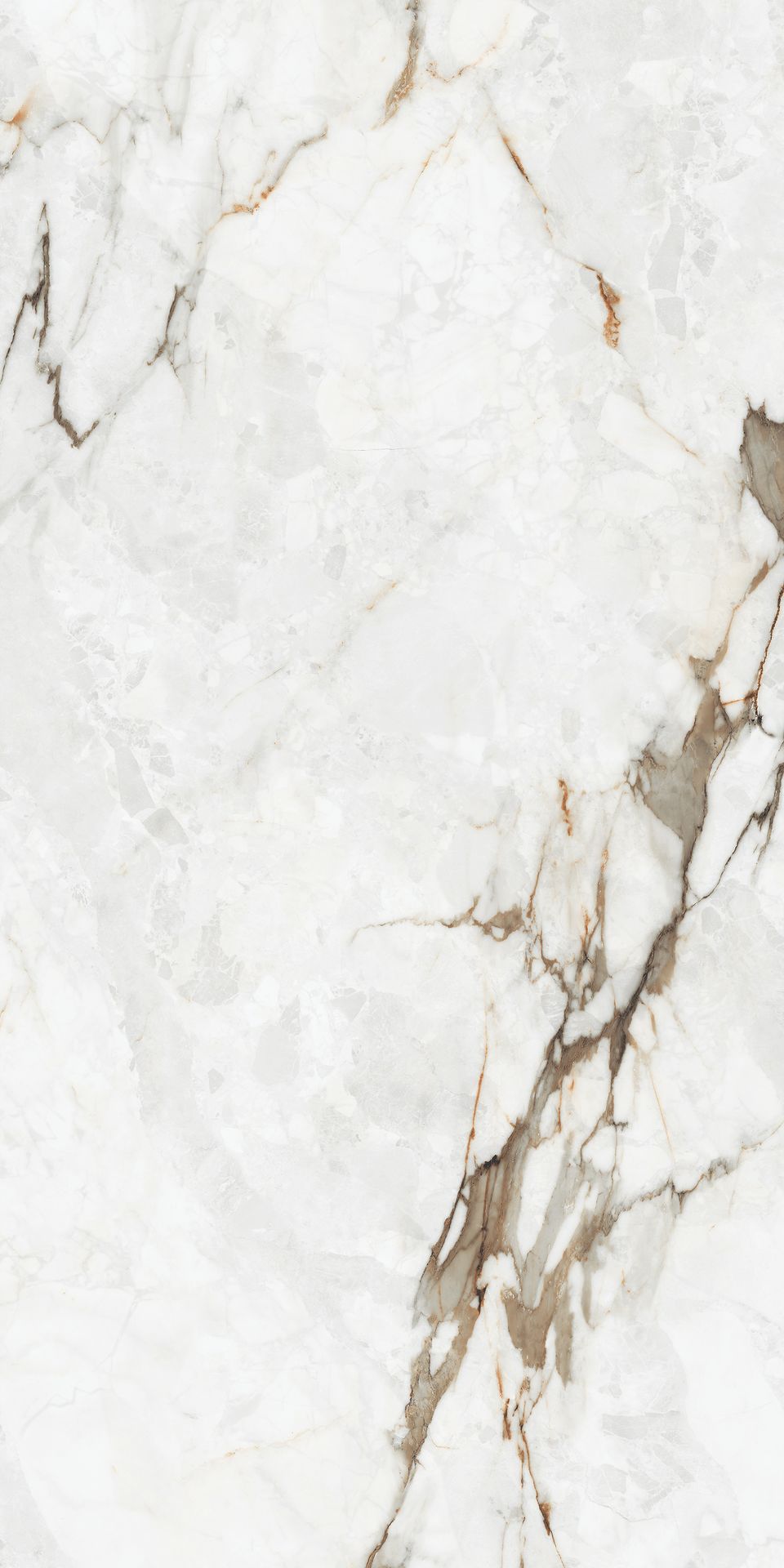1200*600 - Pro  Dynamic Beige (Glossy)(2,1.44)
