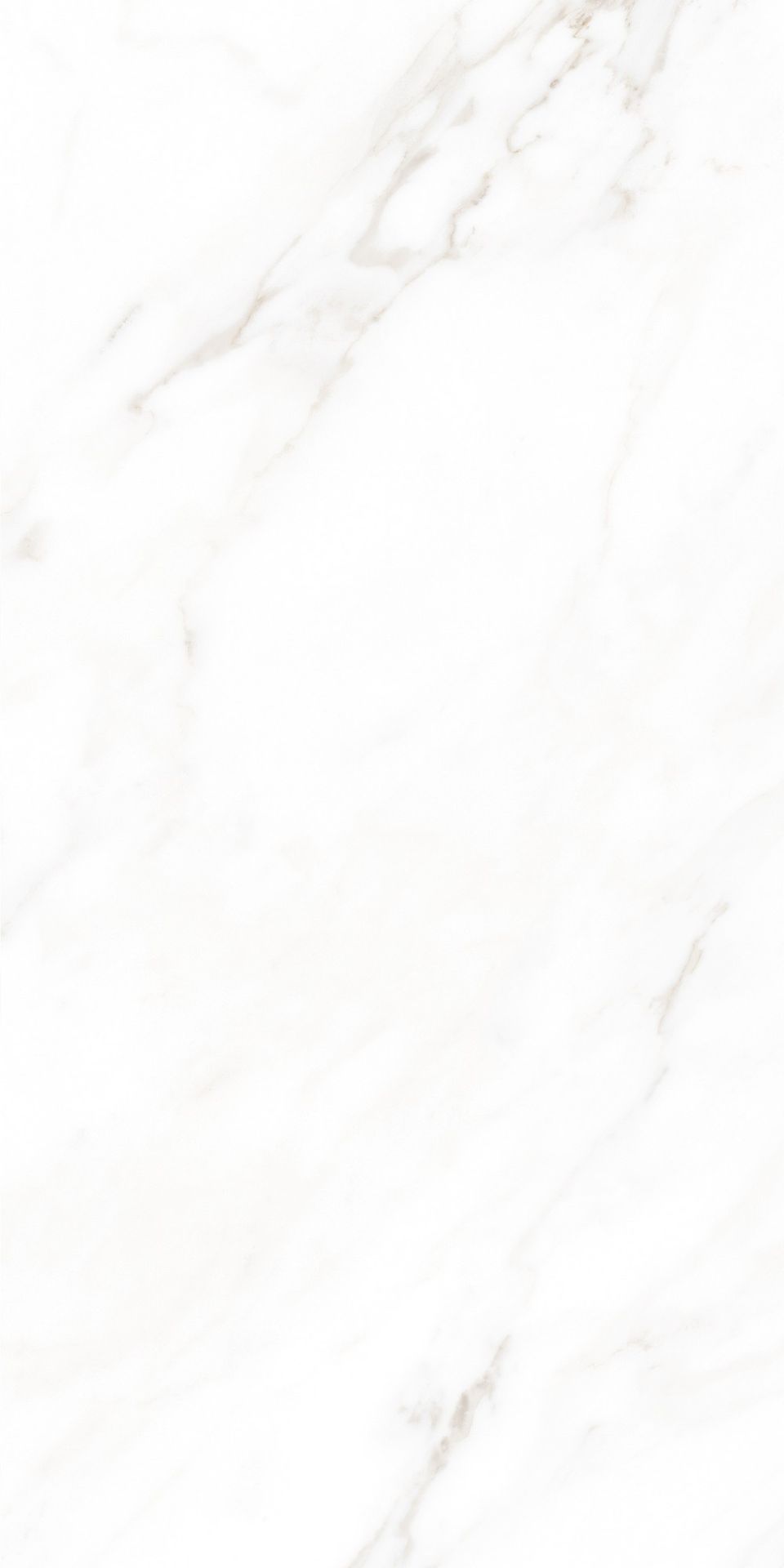 Tile-Calacatta Michael (Snow)