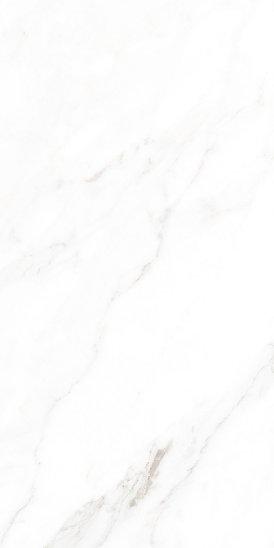 Tile-Calacatta Michael (Snow)