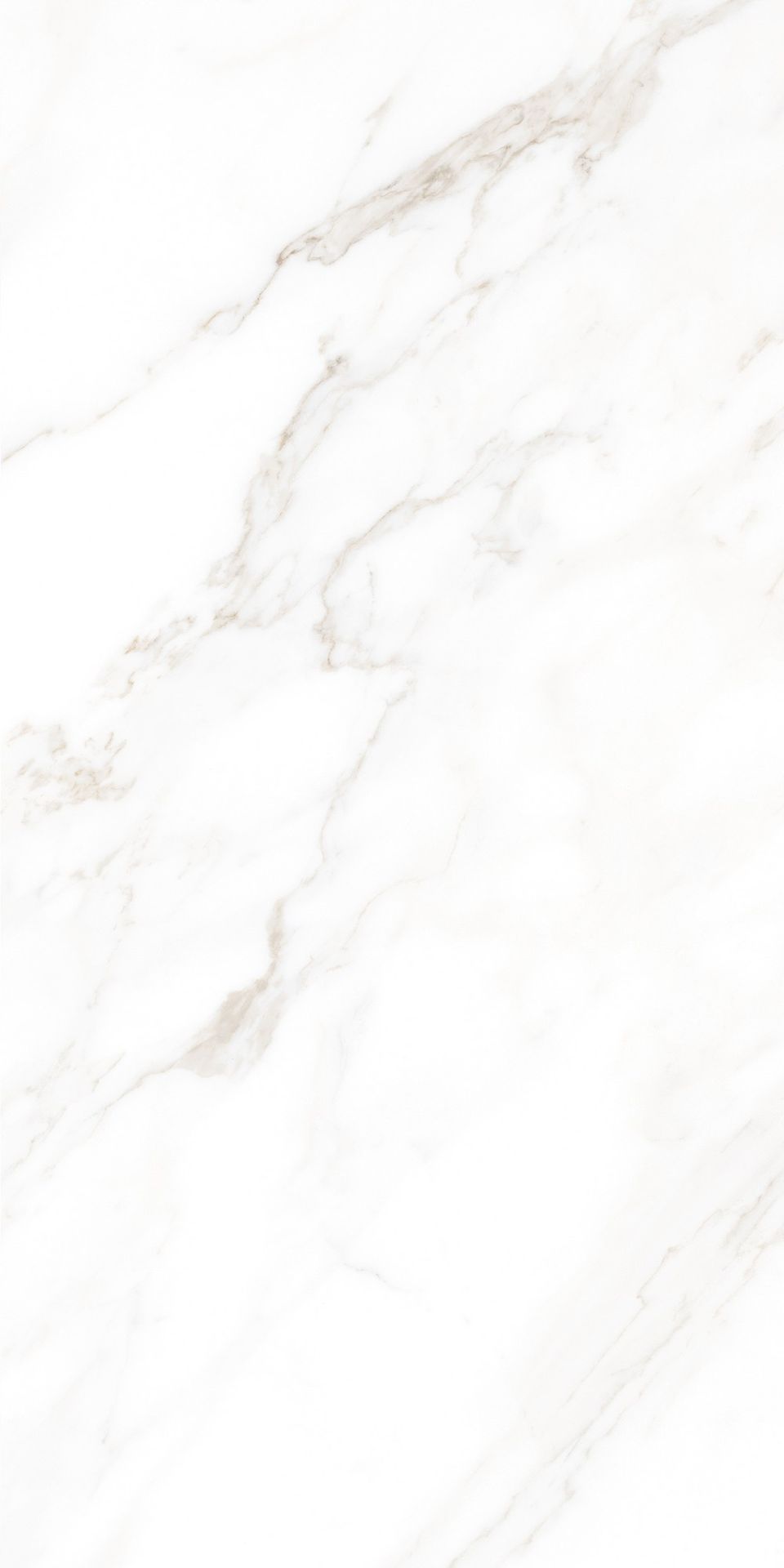 Tile-Calacatta Michael (Snow)