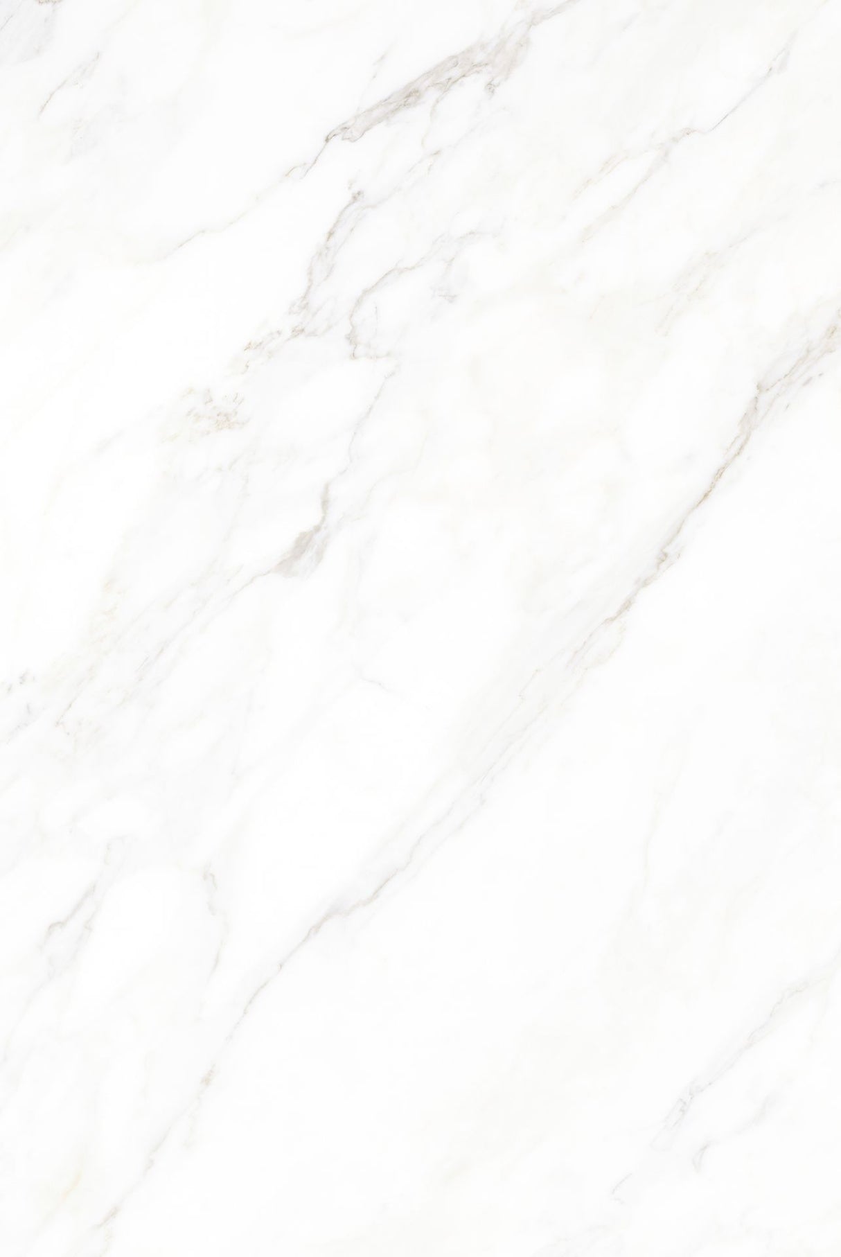 Tile-Calacatta Michael Snow Collection (Super White)