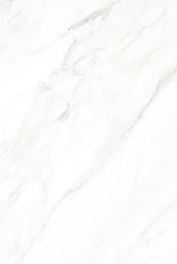 Tile-Calacatta Michael Snow Collection (Super White)