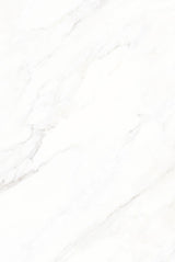 Tile-Calacatta Michael Snow Collection (Super White)