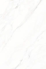 Tile-Calacatta Michael Snow Collection (Super White)