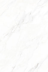Tile-Calacatta Michael Snow Collection (Super White)