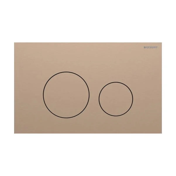 Sigma40 Dual Flush Plate