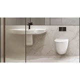 Geberit Omega60 Dual Flush Plate