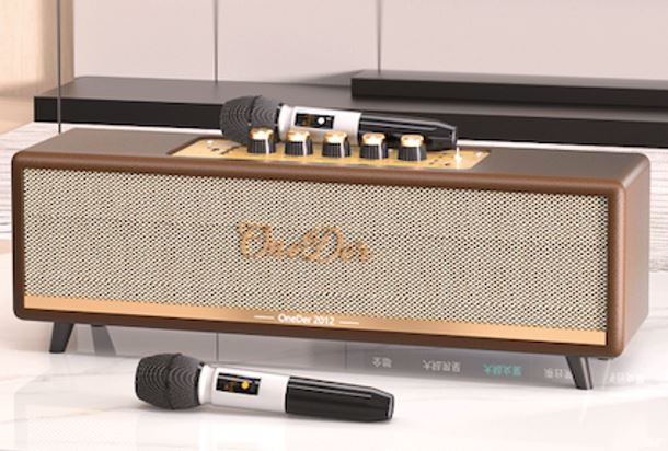 Speaker D8 with mic BuyonBudget