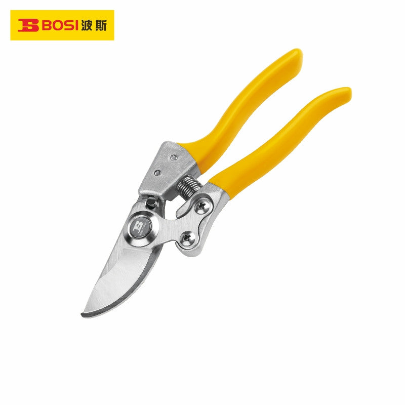 Ratachet Shear