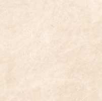 Tile Dorado Beige Matt 60x60