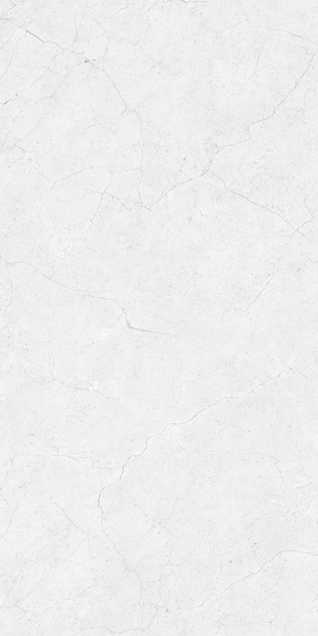 Tile PRO 1064 Binaco Matt 60x60