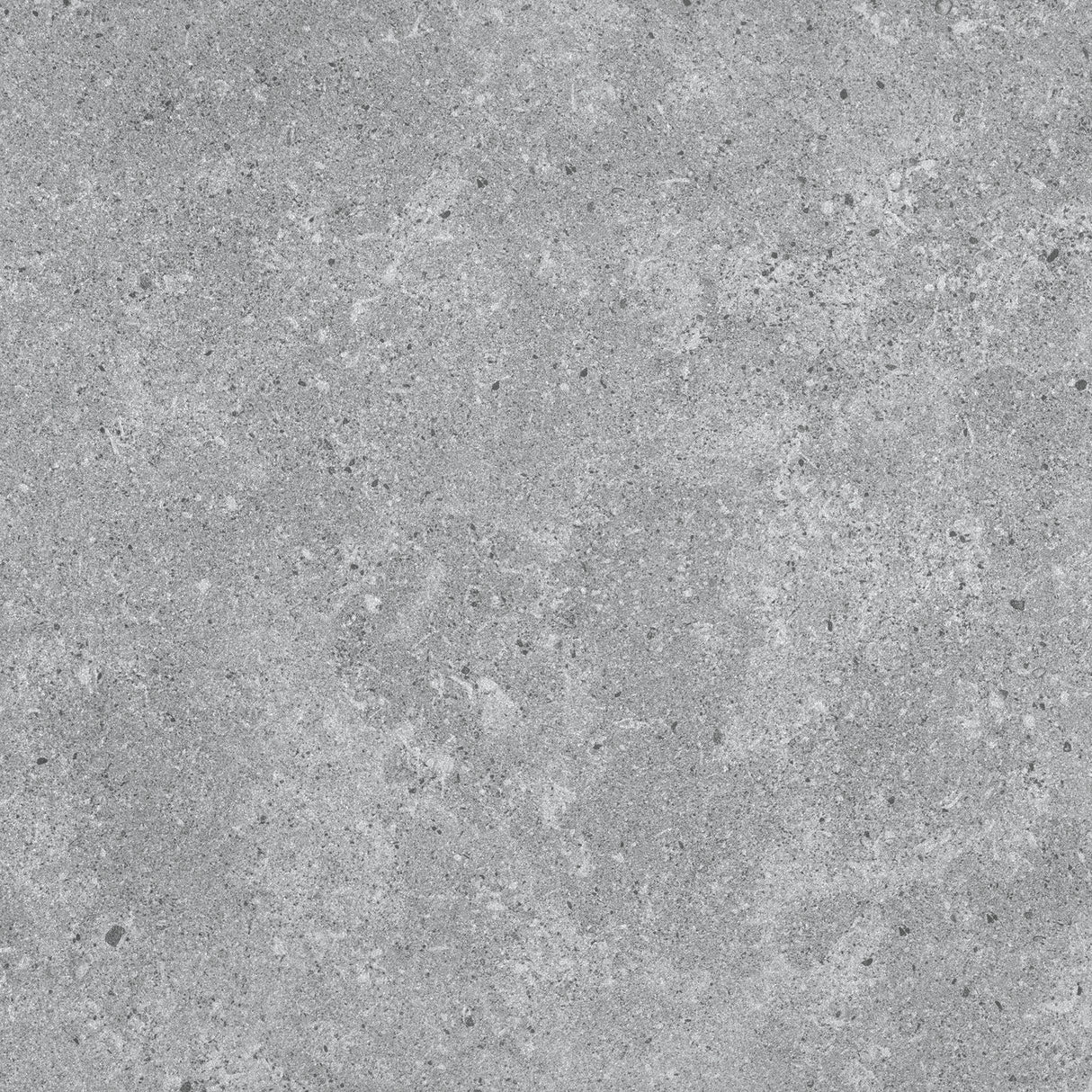 600x600mm 15SP Core Dolphin Tile
