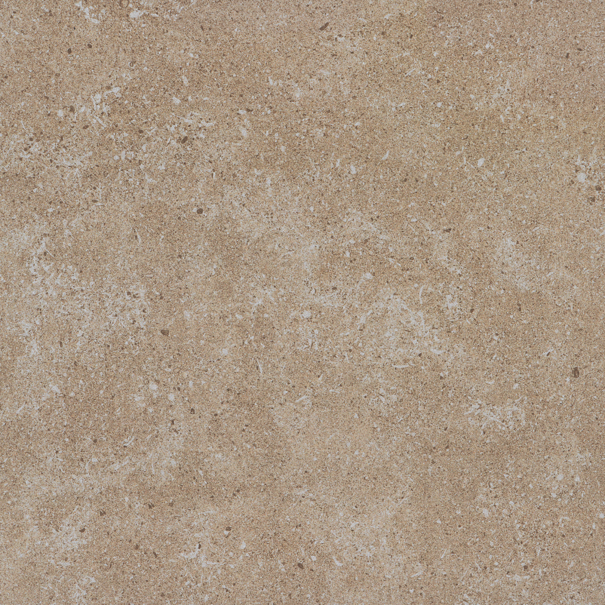 600*600 15SP Mushroom Matt (2,0.72)