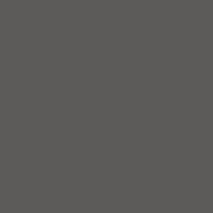 Carpenter Dark RC Tile600x600mm