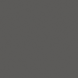Carpenter Dark RC Tile600x600mm