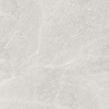 Tile Dorado Silver Glossy 600×600