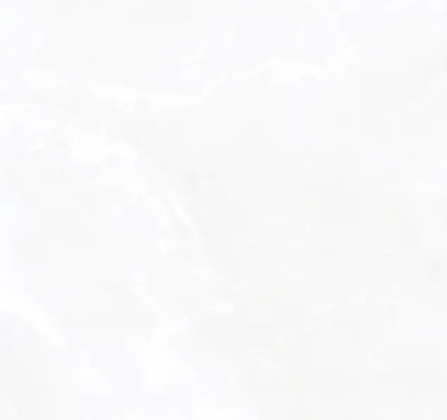 600*600 PRECIOUS WHITE SILK RECT (4,1.44)