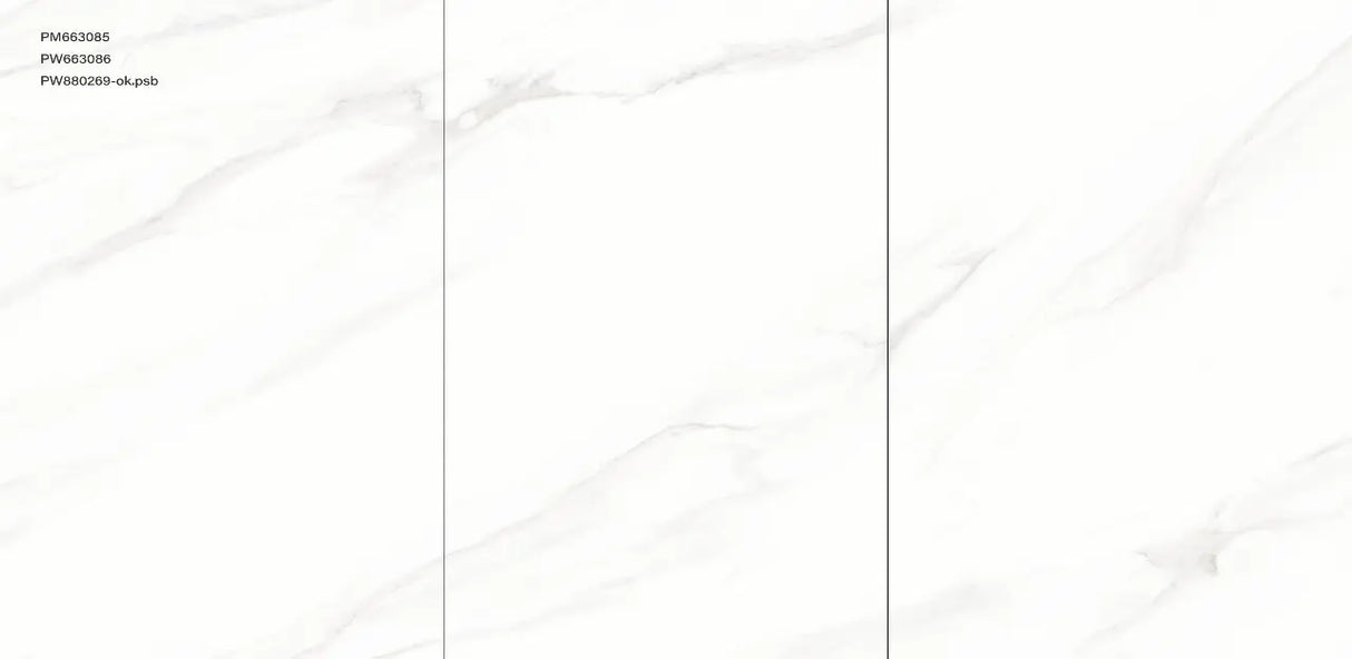 600*600  PW663086 Glossy (5,1.8)