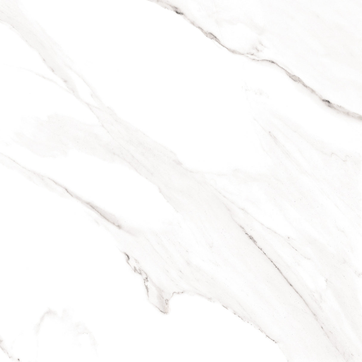 Roman Satvario 600x600x11SP (Matt)