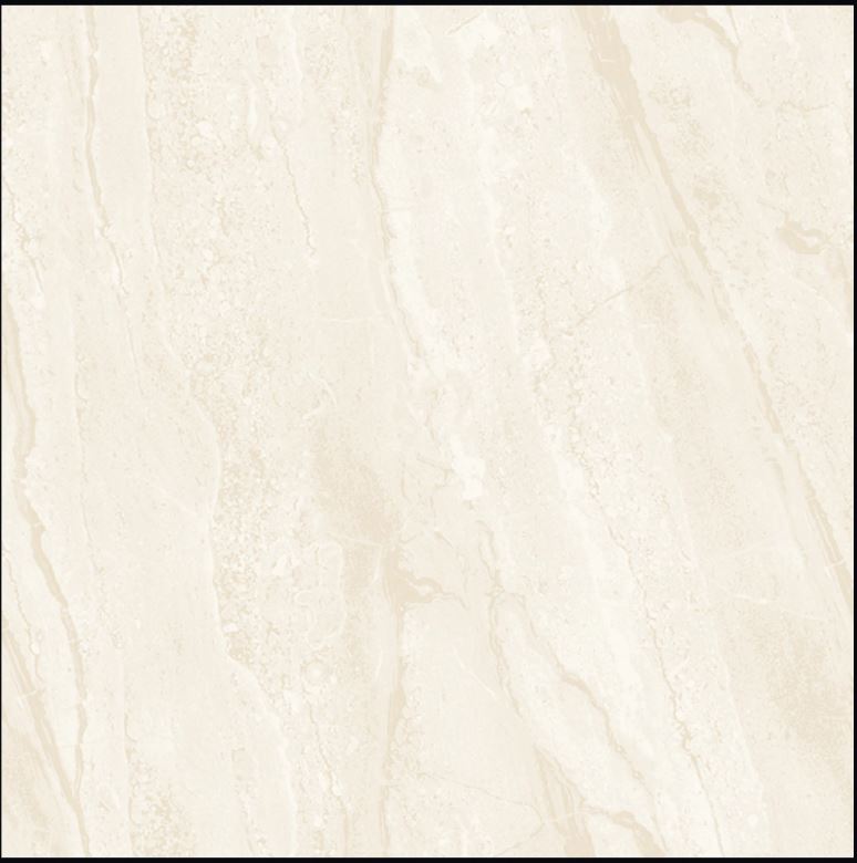 Tile Soluble Salt Dyna 1029 600x600