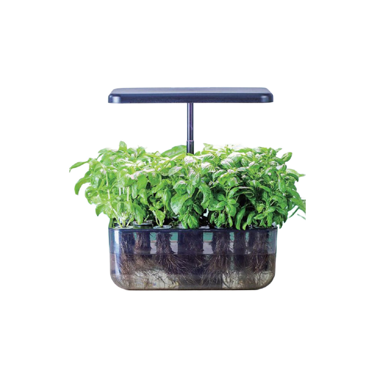 hydrophonic planter Z242