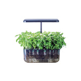 hydrophonic planter Z242