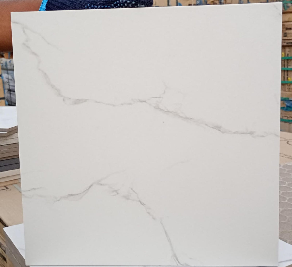 300*300 - SATUARIO ROYAL MATT 20141 (9,.81)