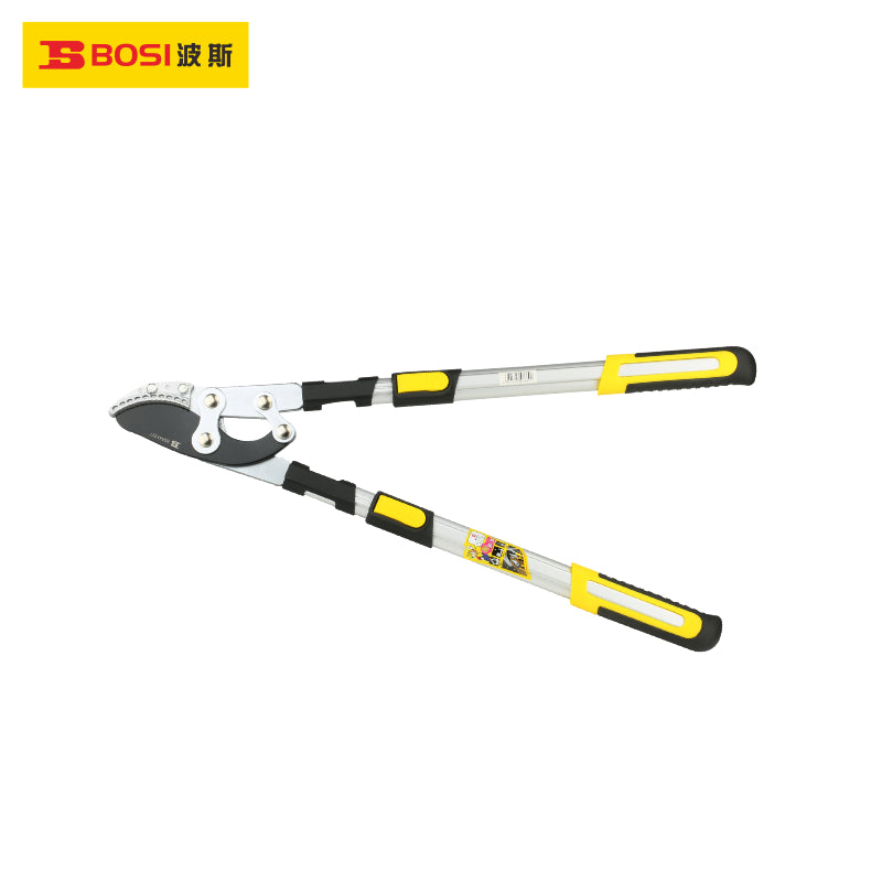 Hedge Shears