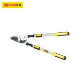 Hedge Shears