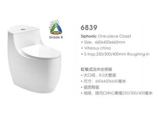 6839- Single Piece S Trap White -250MM