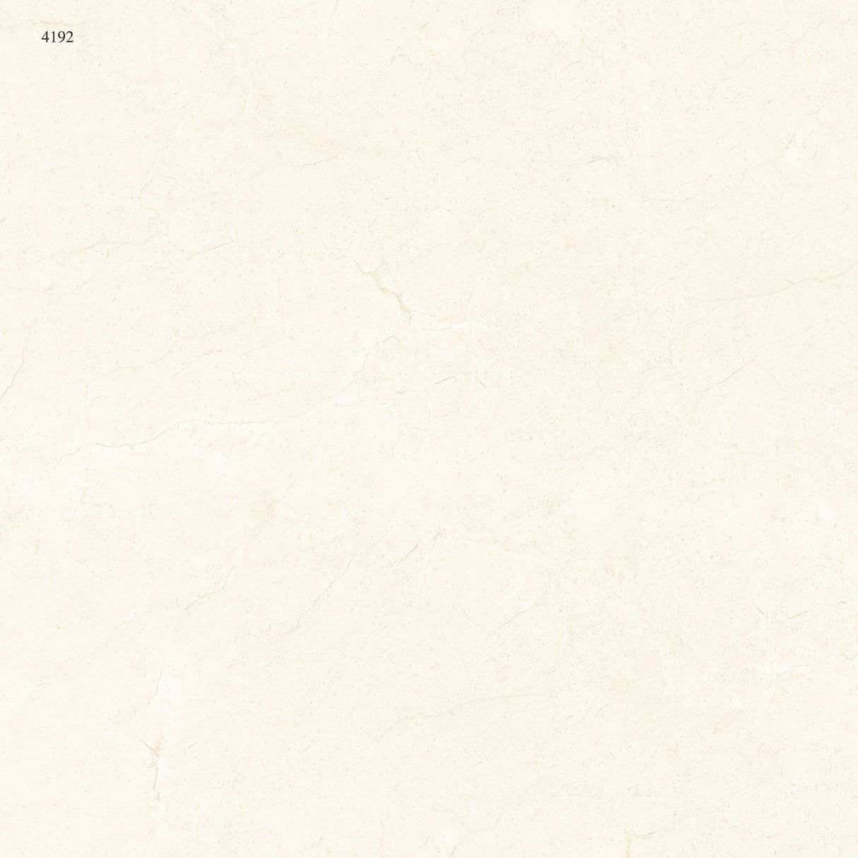 Tile 4192-S 60x60
