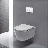 Sigma20 Dual Flush Actuator Plate