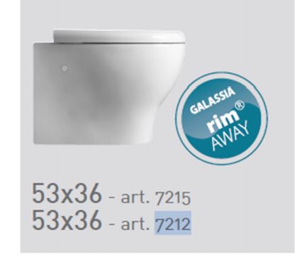 Eden Rimless Wall-Hung Toilet