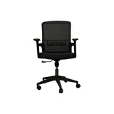 Ergonomic Office Chair - Black  (2511B)