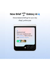 Galaxy Z Flip 7 FE Dual SIM Black 8GB 256GB 5G - International Version
