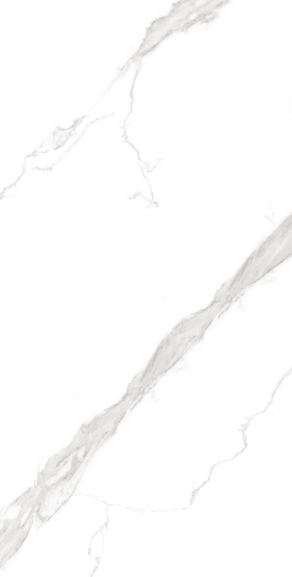 Tile-Calacatta Noir-P