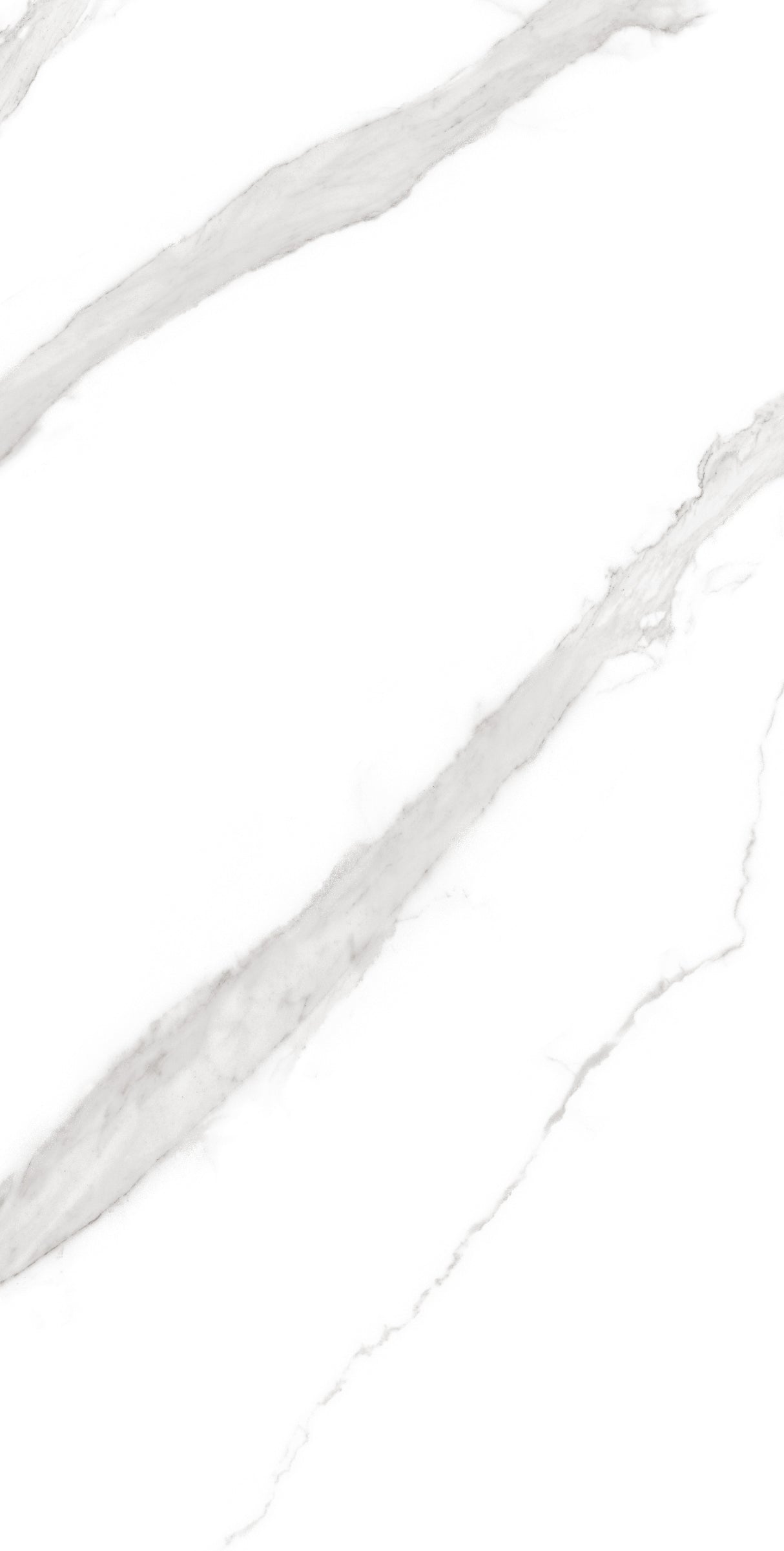 Tile-Calacatta Noir-P