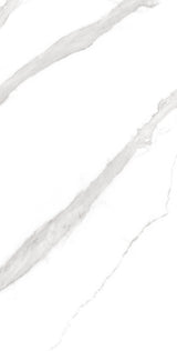 Tile-Calacatta Noir-P