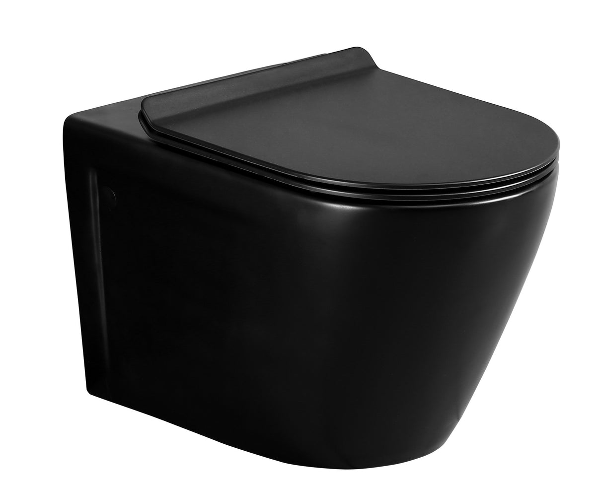 Matte Black Wall Hung Toilet
