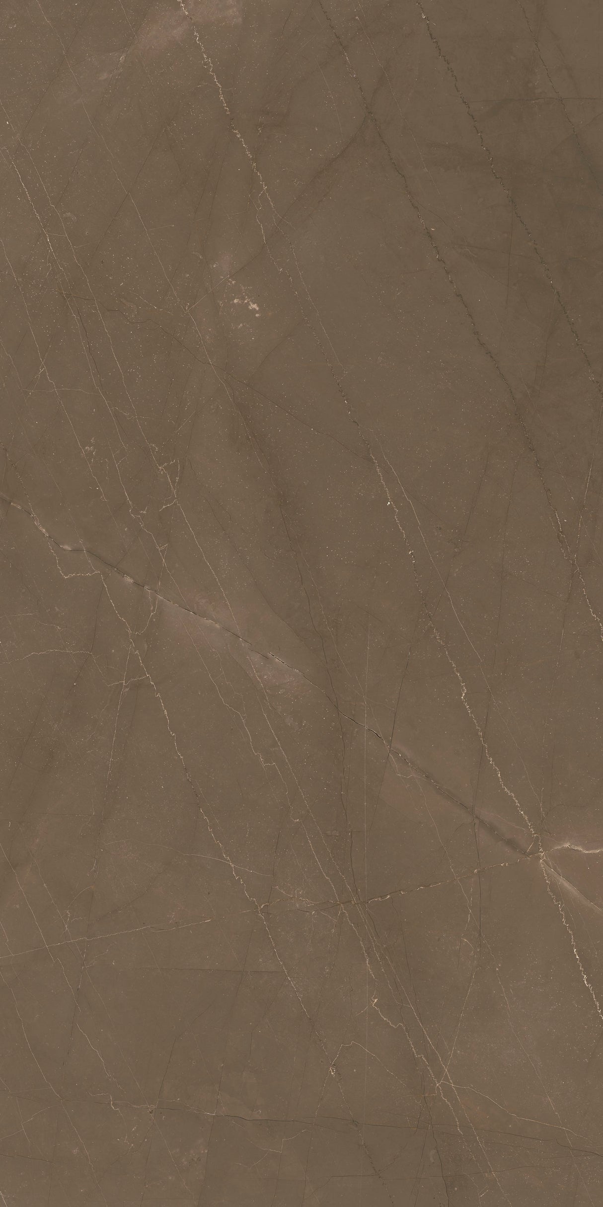Tile-SQ. Gaudi Stone N. Matt
