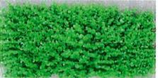Artificial Plants