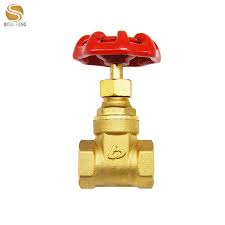 2" Gate Valve