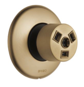 Brizo Hydrachoice Max® Round Body Spray Trim – Luxe Gold